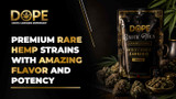 Premium Rare Hemp Strains with Amazing Flavor and Potency