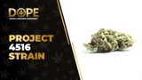 Project 4516 Strain Review: Flavor, Effects & Potency
