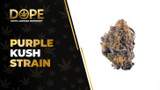 Purple Kush Strain Review: Deep Relaxation & Flavor