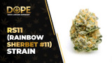 RS11 Strain Review: Flavor, Effects & Potency Guide