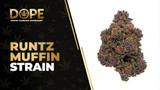 Runtz Muffin Strain Review: Sweet, Potent Hybrid Effects