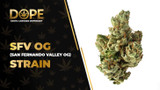 SFV OG Strain Review: Citrus Kush & Balanced High