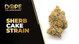 Sherb Cake Strain Review | Creamy Flavor & Effects