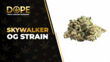 Skywalker OG Strain Review: Effects, Flavor & Potency