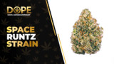 Space Runtz Strain Review: Flavor, Effects & Info
