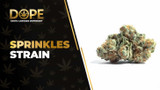 Sprinkles Strain: Flavor, Effects, Genetics & THCA Flower