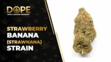Strawberry Banana Strain Review: Flavor & Relaxing High