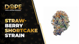 Strawberry Shortcake Strain: Flavor, Effects & THCA Flower