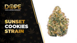 Sunset Cookies Strain Review: Flavor, Effects & THC Levels