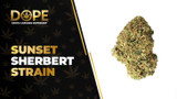 Sunset Sherbet Strain Review: Flavor, Effects & Potency