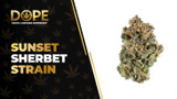 Sunset Sherbet Strain Review: Flavor, Effects & Info