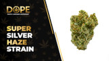 Super Silver Haze Strain: Citrus Flavour & Uplifting Effects