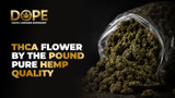 THCA Flower by the Pound Pure Hemp Quality