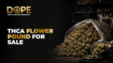 THCA flower pound for sale