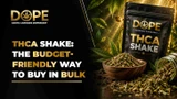 THCA Shake: The Budget-Friendly Way to Buy in Bulk