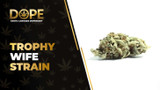 Trophy Wife Strain Review: Flavour, Effects & Genetics