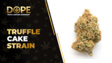 Truffle Cake Strain Review: Flavor, Effects & Potency