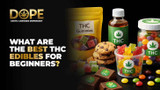What are the best THC edibles for beginners?