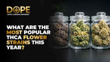 What are the most popular THCA flower strains this year?