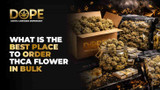 What is the best place to order THCA flower in bulk