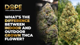 What’s the difference between indoor and outdoor grown THCA flower?