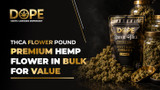THCA Flower Pound: Premium Bulk Hemp for Value 