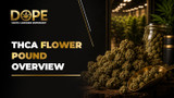 THCA Flower Pound Overview
