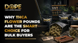 Why THCA Flower Pounds Are the Smart Choice for Bulk Buyers