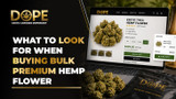 What to Look for When Buying Bulk Premium Hemp Flower