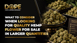 What To Consider When Looking For Quality Hemp Flower For Sale In Larger Quantities