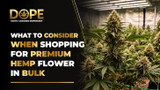 What to Consider When Shopping for Premium Hemp Flower in Bulk