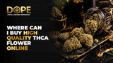 Where Can I Buy High Quality THCA Flower Online