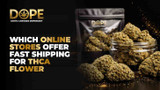 Which online stores offer fast shipping for THCA flower