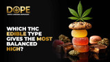 Which THC edible type gives the most balanced high?