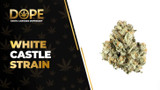 White Castle Strain: Effects, Flavor & THCA Flower