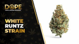 White Runtz Strain Review: Sweet Flavor & Balanced High
