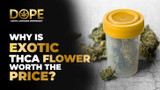 Why Is Exotic THCA Flower Worth the Price? Why Is Exotic THCA Flower Worth the Price?