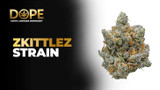 Zkittlez Strain 2025: Flavor, Effects & Growing Guide