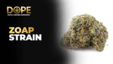 Zoap Strain Review | Sweet Floral Flavor & Balanced Effects