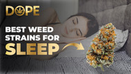 Best Weed Strains for Sleep: Top Picks for Restful Nights