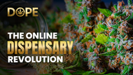 How DOPE Exotic Cannabis Dispensary is Changing THCA Access