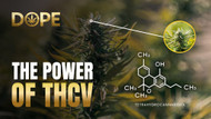Power of THCV: How DOPE Is Shaping the Future of Cannabis