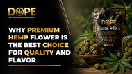 Why Premium Hemp Flower is the Best Choice for Quality and Flavor