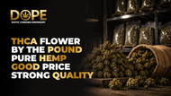 THCA Flower by the Pound Pure Hemp Good Price Strong Quality