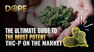 The Ultimate Guide to the Most Potent THC-P on the Market