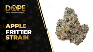 Apple Fritter Strain Review: Flavor, Effects & THC