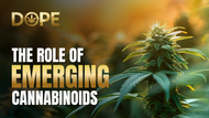 How THCP, THCV, HHC, and Delta-8 Are Changing Cannabis