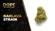 Baklava Strain: Genetics, Effects, Flavor & THCA Flower