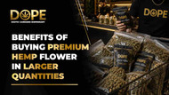 Benefits of Buying Premium Hemp Flower in Larger Quantities