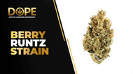 Berry Runtz Strain Review | Sweet Flavor & Effects